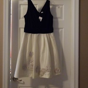 BNWT Stunning Max and Cleo Dress